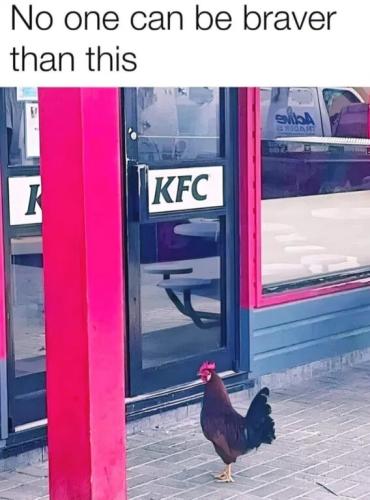 8bc20ecfbf69326132e98fd1d9247760