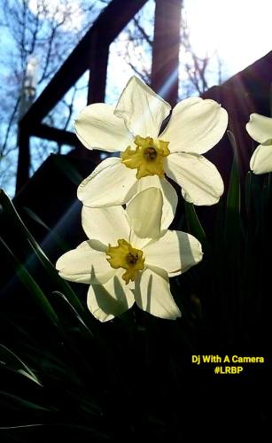 Screenshot_20260331_075125_Gallery