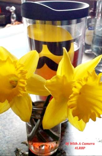 Screenshot_20260306_081955_Gallery