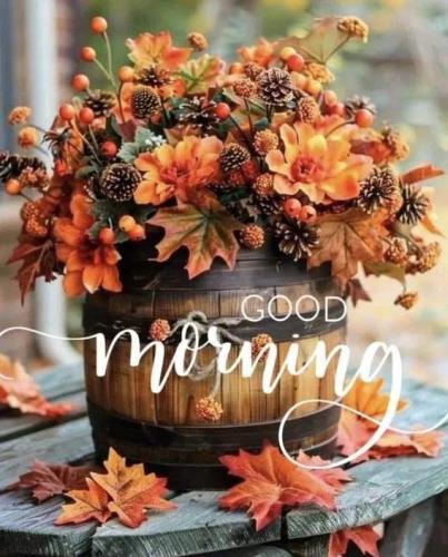 Resized_bc77bd63842842555a1045ffe29203ad(1)