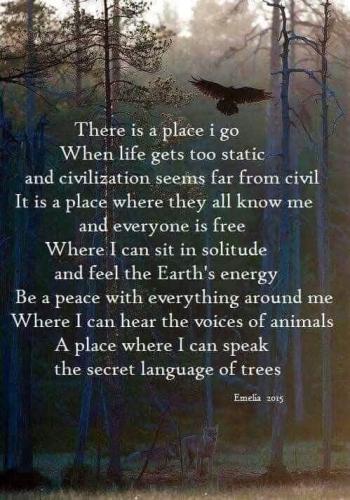 644515717_1370902778403667_3704518477517857828_n