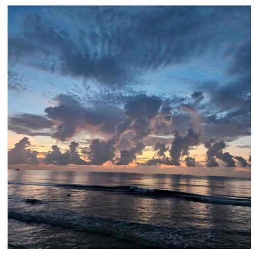 5c37d29a-3d7e-41a4-b11e-24755ceb312d