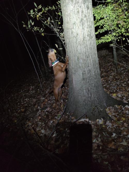 IMG_20231110_190434856_HDR