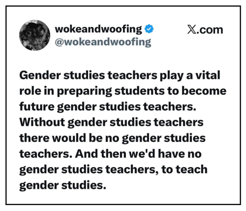gender studies