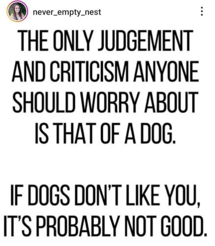 43aa1d5bdf4d0dec3d0bb901de69df39