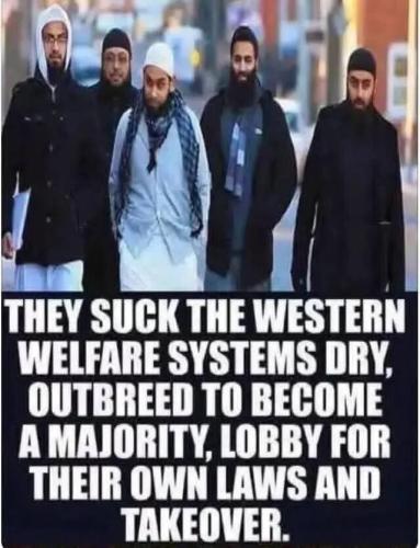 TESTHUB_photos_users_KPBY8Tc46ldqLjWXf6bqxqOW3AR2_-OmmGTPqheR9WWwUzSjF_img_rsz__1100x1100