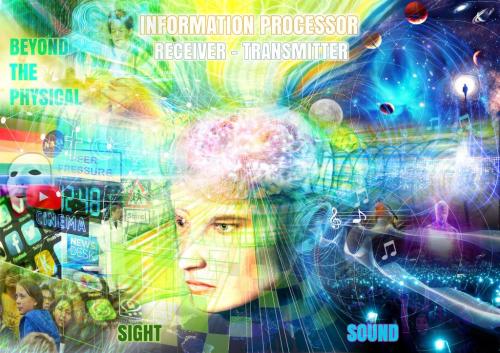 consciousness-in-brain-1024x724