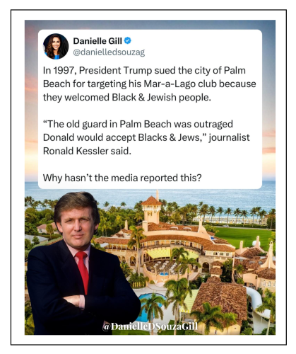palm beach suing