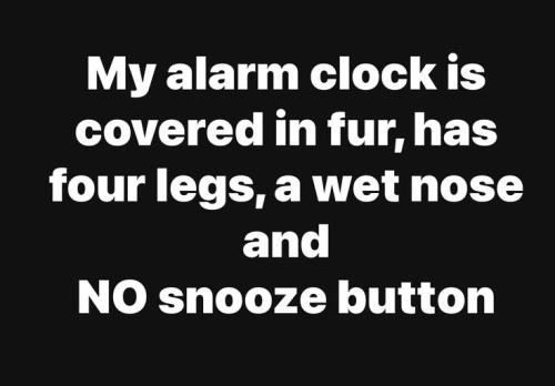 c11306048c32c6e2a82f65fdfdfd0f13