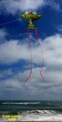 Screenshot_20260306_092204_Gallery