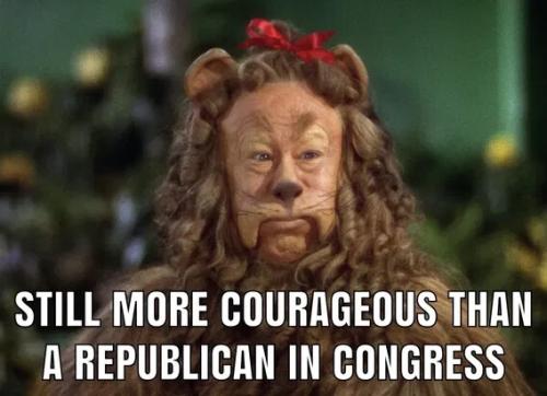 more-courageous-than-congress-repubs