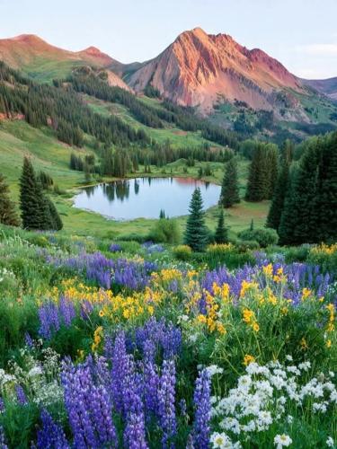 661503994_2089094668668251_4269799475376284473_n