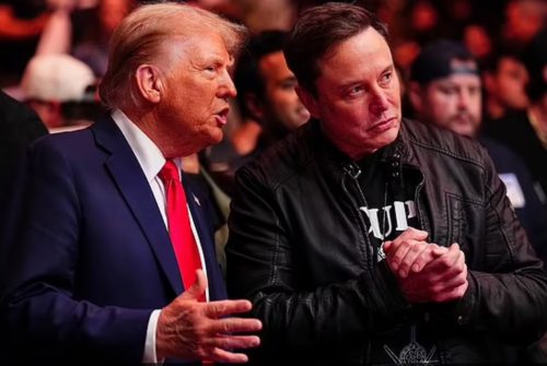 Trump-musk2-500x335