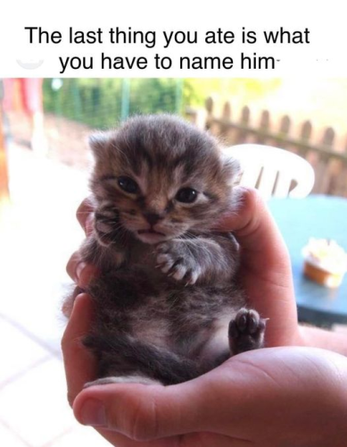 last-thing-ate-is-have-name-him