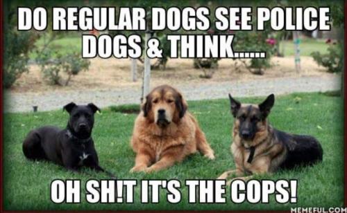 Screenshot_20260313_211923_Gallery