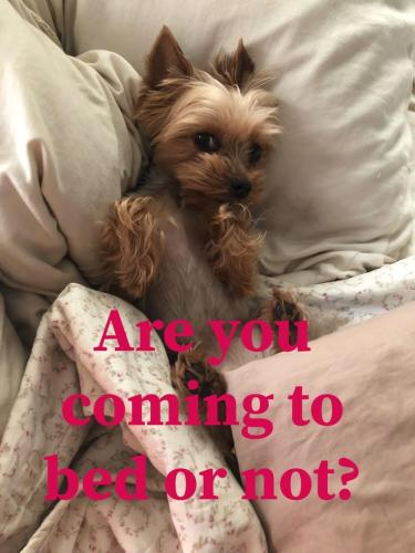 a7b31fbe298d82f678f526b718057288