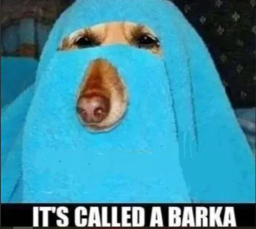 a barker g
