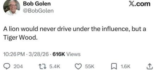 tiger-drive-under-influence