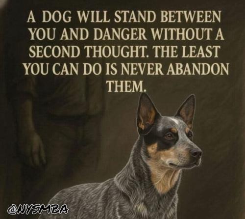 ae93099a093f005c7fcd9073bb797457fd21fa0e9030a26d75d0bc9c4da5a936_1