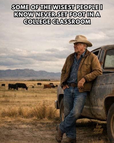 main-qimg-9906eb210fb7fae0111663ebb93530bf