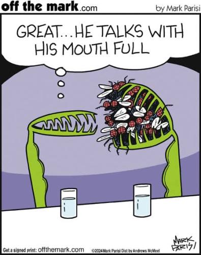 FB_IMG_1772915409174