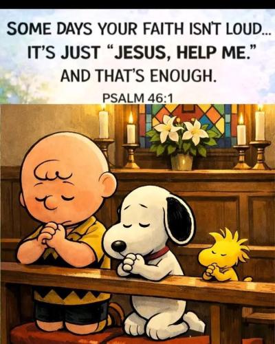 204e10c4a3a8d2d1cbe950a859bacbdf