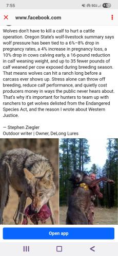 Screenshot_20260329_195553_Wimkin Free Speech Social Media