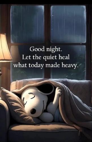 17724490810667479401167091814599_1454386875622221