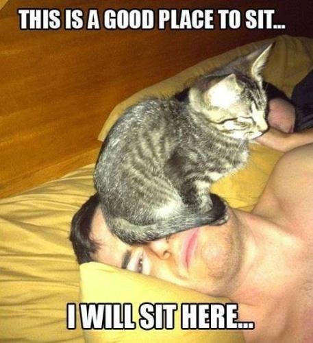 this-is-good-place-sit-will-sit-here