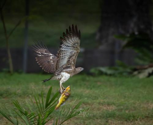 651331728_10226487609256793_6683342970372037836_n