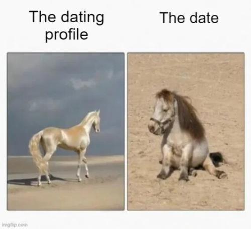 dating-profile