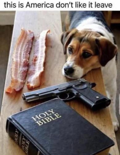 5f0b6848b02bc51e6095d75ab4b1562c_768x0