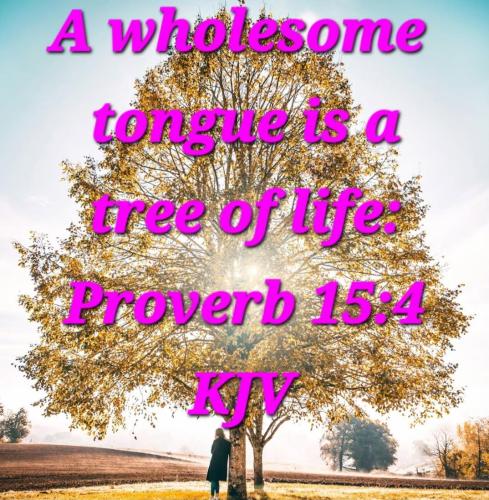 0bb3af19-02cf-4c41-93e8-26c835314b89