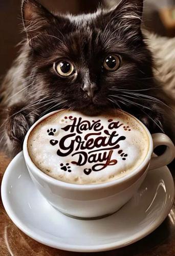 Resized_503d7b88206a49f440a8658658678751