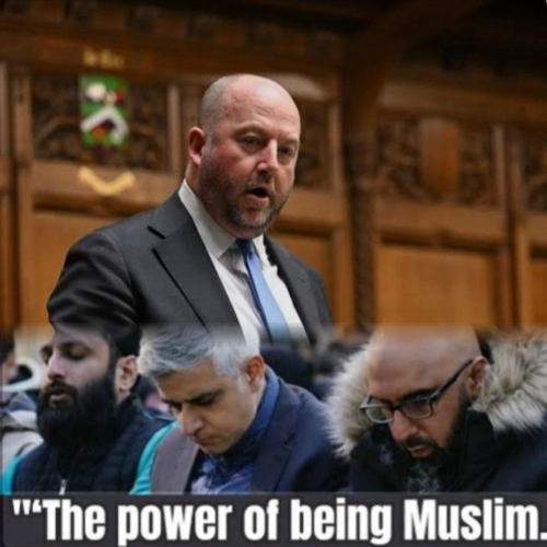 Dominance Not Diversity