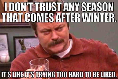 hilarious-spring-meme