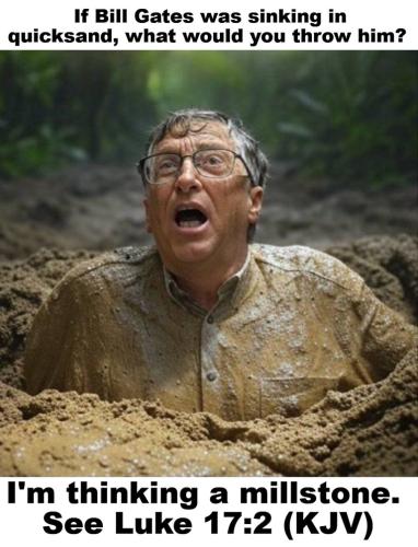 If Bill Gates were sinking in quicksand.768px