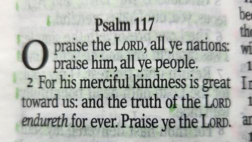 FB_IMG_1772540936307