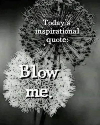 blow-me