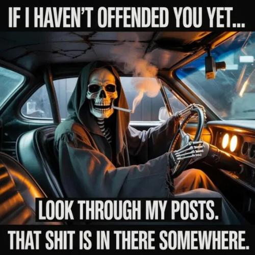 if-i-haven't-offended-you