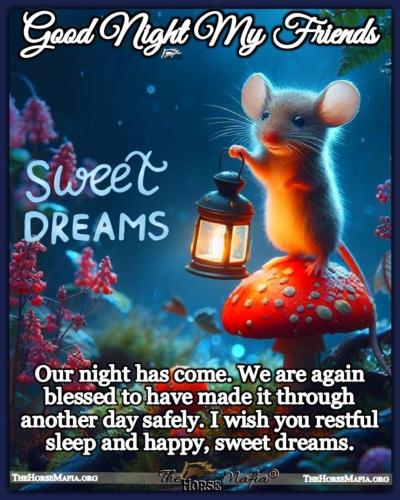 641028682_122115063849209524_2568551517867039944_n