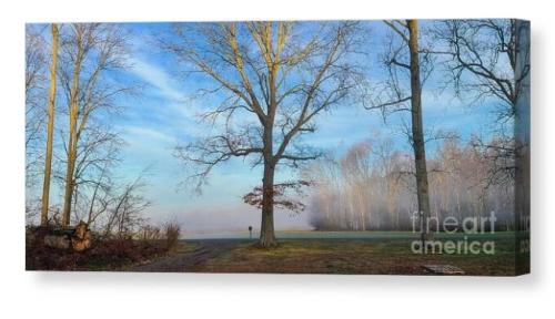 Screenshot_20260322_132712_Brave