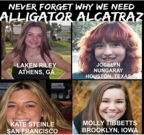 ILLEGAL ALIEN VICTIMS