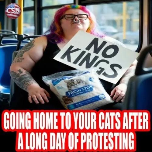 17749520489495328112113553559693_925403101840316