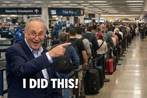 schumer-i-did-this