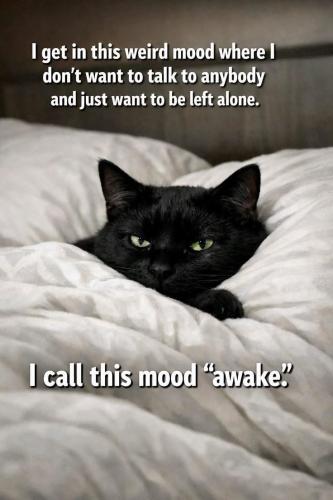 e5f4982efbe424853f004832bf5a44e2