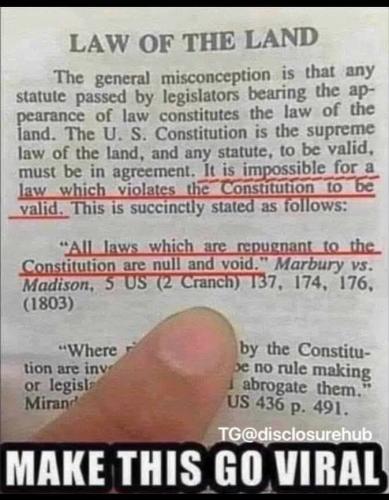 648682207_10234892393665046_1875527313790044526_n