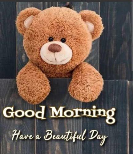 Resized_d8da7f30d4083abea9145aaecd7dc6b2(1)