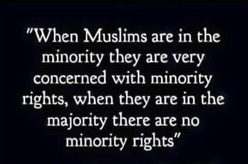 FB_IMG_1773245491881