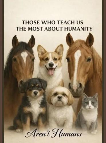 TESTHUB_photos_users_KPBY8Tc46ldqLjWXf6bqxqOW3AR2_-OogBBjcBfLk92eOllrg_img_rsz__1100x1100